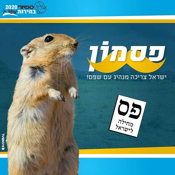 צילום: KANIBAL